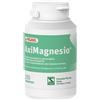 Schwabe Pharma Italia Aximagnesio 20 Bustine