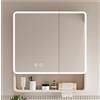 AYHARYLH Specchio Bagno Contenitore Led Con Mensola - Smart Touch Control, Anti-Appannamento, Pensile Salvaspazio Da Appendere