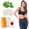 AONAT Cerotti dimagranti forti per pancia e vita - Slim Patch per bruciare i grassi - Accelerare il metabolismo - Cerotti contro il grasso della pancia - Weight Loss Sticker alternativa alle compresse (C)