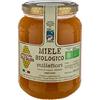 Apicoltura Colle Salera Miele biologico di Millefiori - Italiano non Pastorizzato | Apicoltura Colle Salera … (1 kg)