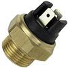 FAE 37310 - Termocontatto, Ventola Radiatore