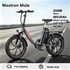 NONE Bicicletta Elettrica Pieghevole Maxtron Mule con Motore da 250W, Batteria Rimovibile 48V20Ah, Supporto 7 Velocità, Pneumatici Fat da 20*3 Pollici