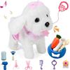 GOBRILLFUN Cucciolo di cane peluche interattivo che cammina, cane robot con coda scodinzolante, set per toelettatura, giocattoli regalo di compleanno per ragazze e ragazzi, bambini di età 3, 4, 5, 6+