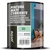 JOVIRA PINTURAS Pittura di copertura opaco. Pittura per interni ed esterni con eccellente potere coprente. (750 Millilitri, Verde Acqua)