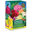 Crescita Miracolosa concime granulare universale, 11.5x6.5x19.5 cm