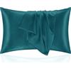 Homebliss Federe Cuscino Letto 50x90 in Raso - Federa Setoso Proteggere Pelle e Capelli - OEKO-TEX - Super Morbida e Ipoallergenico - Federa 2 Pezzi con Cerniera Blu Verde