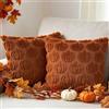 Benjia 2 Pezzi Federa per Cuscino Autunnale Federa Zucca 30 x 30 cm Federa in Morbido Peluche Cuscini Decorativi Autunno per Ringraziamento Halloween Soggiorno Camera da Letto Divano (Rosso Ruggine)