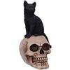 Nemesis Now Familiar Fate - Statuetta di Gatto e Teschio delle Streghe, 24,3 cm, Colore: Nero