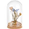 PH PandaHall Espositore In Vetro Cupola Cloche Campana di Vetro con Tappo In Sughero Piccole Bottiglie di Vetro Cupola Barattoli Decorativi per Conservare Fiori 16x9 cm