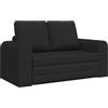 Festnight Divano Letto 2 Posti, Divano 2 Posti, Divano Letto Matrimoniale, Divano Letto Pieghevole, Divano Letto 2-in-1 in Tessuto Nero 148x71x83 cm