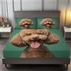 Generico Lenzuolo sopra morbido e confortevole 180x200 cm Lenzuolo 100% microfibra spazzolata, senza rughe e anti-peeling Realismo Barboncino per Materasso Alto 30cm, Verde