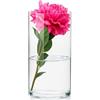 KONZEPT - Vaso cilindrico in vetro (diametro 16 cm; altezza 30 cm), grande vaso in vetro, moderno vaso in vetro trasparente, vaso a tulipani, vaso di vetro per fiori