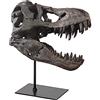 pombconw Scultura di Teschio di Dinosauro Tirannosauro Rex - Statua di Testa in Resina per Decorazione Soggiorno, Ufficio e Mensola a Muro - Stile Moderno