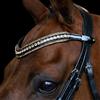 Imperial Riding Cinghia Frontale IRH Maxima, Fascia in Pelle con Strass in Vetro e Chiusura a Penna, Marrone, Frangia