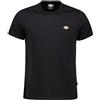 DICKIES Uomo Dickies T-shirt Mapleton
