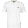 DICKIES Uomo Dickies T-shirt Mapleton