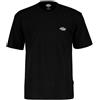 DICKIES Uomo Dickies T-shirt Summerdale
