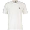 DICKIES Uomo Dickies T-shirt Summerdale