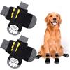 AUAUY -Pet Socks-L Size-Giallo