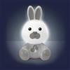 Chicco Coniglietto Dreamlight Chicco