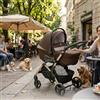 Cam Trio Fluido Easy Cam - Edizione Limitata