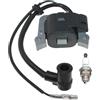 ICOOYO Bobina di accensione per Kawasaki TH43 TH043D KBH43A KBL43A TH048D TH48 KBH48A KBH48B KBL48A 11010-3357,11010-3230,11010-2966,21171-2195
