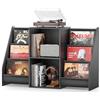 Bikoney Mobile per Giradischi con Spazio Porta Vinili - Console Multimediale con Ripiano per 300 Dischi, Supporto CD, Stereo