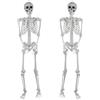 SIFOEL 165cm Halloween scheletro umano realistico in plastica a grandezza naturale con articolazioni mobili per la decorazione della festa di Halloween, 2 pezzi