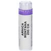 LABORATORIO SODINI Arnica Montana 80 Granuli 200 Ch Contenitore Multidose