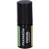 Pranarom Aromaboost Roll-On Focus Bio 5 ml