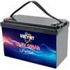 SSCYHT Batteria LiFePO4 12V 100Ah (Litio-Ferro-Fosfato, 12,8V) Ricaricabile con BMS da 100A - Ideale per impianti solari, Camper, Barche, Campeggio e sistemi di Backup