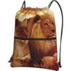 HJFCZH Zaino con stampa di leone africano con coulisse e cerniera, leggero, per sport, palestra, impermeabile, da viaggio, per uomini, donne, adolescenti