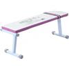 APLVFFZH Pesi Pieghevole Fitness Regolabile Allenamento con Seduta Allargata E Imbottita in Similpelle Struttura in Metallo Stabile Richiudibile Adatta per Angolo Fitness, Rosso