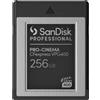 SanDisk Memoria flash SanDisk PRO-CINEMA 256 GB CFexpress [SDPCVN4-256G-GNANN]