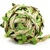 SZXMDKH Stringa di iuta con foglie verdi, 5 m, festa di nozze, bomboniere, decorazione per la casa e il giardino, corda di iuta