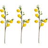 XIZHI 3 rami di limoni artificiali da 48,3 cm, bellissimi rami di limone gialli, decorazione per la casa, le vacanze, la tavola della fattoria, centrotavola e la decorazione della casa