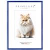 PrimeLuxe Cornice portafoto su misura, sottile, 48,5 x 68 cm, in blu royal scuro, lucida, dimensioni a scelta, con vetro acrilico antiriflesso, cornice per poster, puzzle, collage fotografico