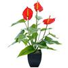 ZHDOKA 13,8 Pollici Calle Artificiali in Vaso, Finti Fiori di Calle in Plastica con Bonsai di Anthurium per Casa, Ufficio, Arredamento Interni Ed(Rosso)