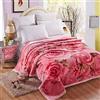 LGYKUMEG Coperta in Pile Resistente di Grandi Dimensioni, Coperta in Visone Coreano, Morbida E Calda, Coperta da Letto Raschel Reversibile a 2 Strati per l'Autunno Inverno,180x220cm3kg