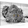 Runa Art Africa Leopardo Quadri Soggiorno Grande Grigio Giallo Grandi Felini 120 x 80 cm 3 Pezzi Decorazione Murale 000331a