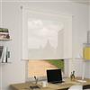 OR Tende - Tenda a Rullo Filtrante SCREEN 6% su misura 150x150 cm Personalizzabile per interni per porta finestra e basculante Made in Italy