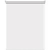SANJIAOJIA Tenda a Rullo PVC Trasparente Impermeabile,Tapparella Avvolgibile per Interni ed Esterni,Tenda per Finestre in Plastica,Tenda Antipioggia per Balcone,Larghezza x Altezza (75x100cm)