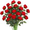 Justoyou - 20 rose artificiali rosse, in seta, con stelo, bouquet di rose artificiali realistiche, ideale per la casa, tavolo, ufficio, feste, matrimoni, giardini (rose in fiore rosse)
