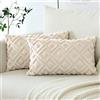 Artscope 2 Pezzi Federe in Lana Corta Velluto Copricuscini Morbido Decorativo Fodere per Cuscino Lusso Stile per Divano Camera da Letto Ciclo Geometrico Beige 30x50 cm