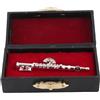 Cyrank Spilla per Strumenti Musicali, Spilla per Flauto con placcatura Spilla per Strumenti Musicali con Confezione Regalo Accessori di Abbigliamento affascinanti(d'Argento)