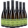 Puiatti Friuli DOC Friulano 2025 Box da 6 bottiglie