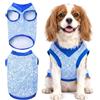 Grantop Gilet refrigerante per cani, traspirante, per cani di piccola taglia media (blu, XL)