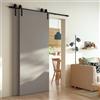 Leroy Merlin Porta scorrevole Harry in legno grigio, L 90 x H 210 cm, con binario Fizz