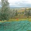 4F GROUP Rete per olive 4F GROUP Rete olive Antispina 3x50 L 50 x H 3 m