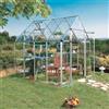 VERDEMAX Serra da giardino VERDEMAX Doritis Large H 260 cm, L 254 x P 249 cm
